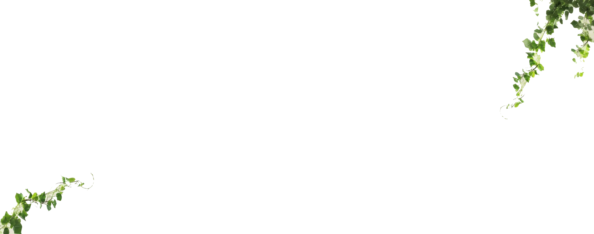 Rutu City